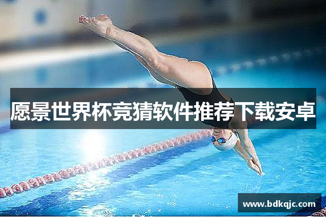 愿景世界杯竞猜软件推荐下载安卓